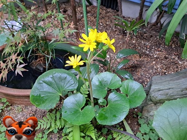 2025�N�@�g�b�v�摜