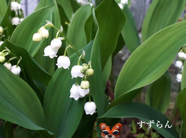 2026�N�g�b�v�摜